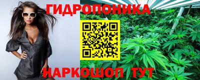 a pvp Малоярославец