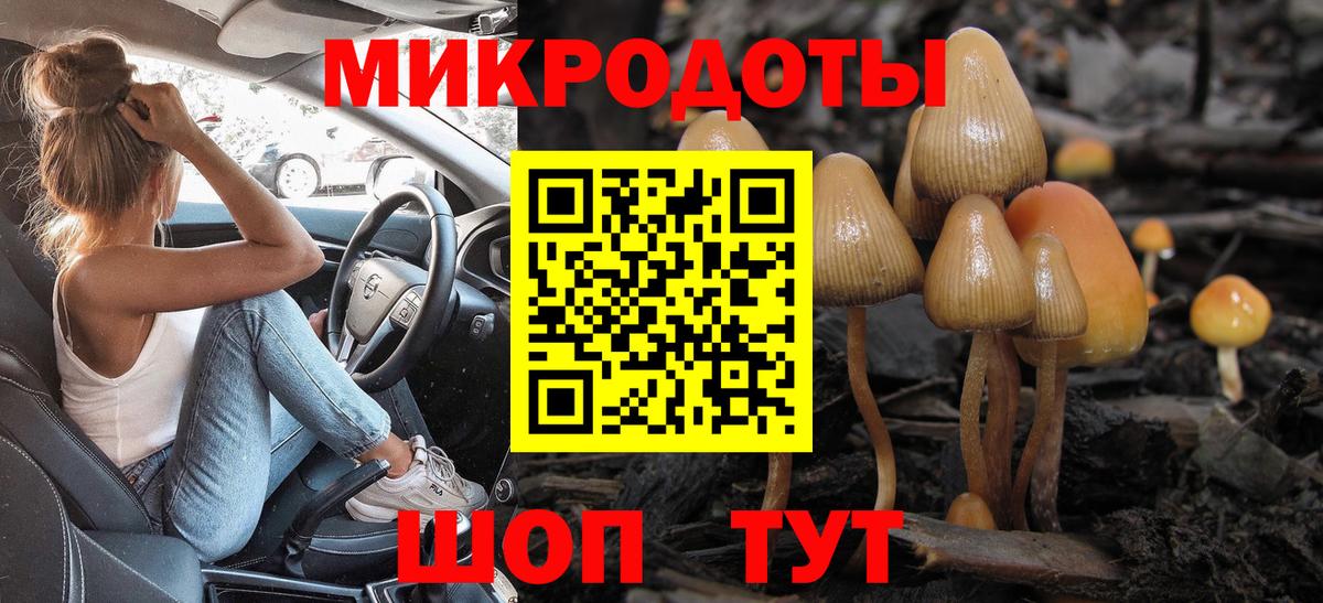 Уссурийск  Псилоцибиновые грибы ЛСД  Вход с VPN  Галлюциногенные грибы прущие грибы 