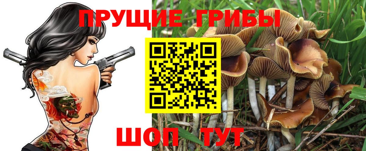 Псилоцибиновые грибы GOLDEN TEACHER Уссурийск